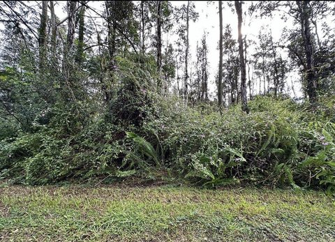 Land, Pahoa, HI