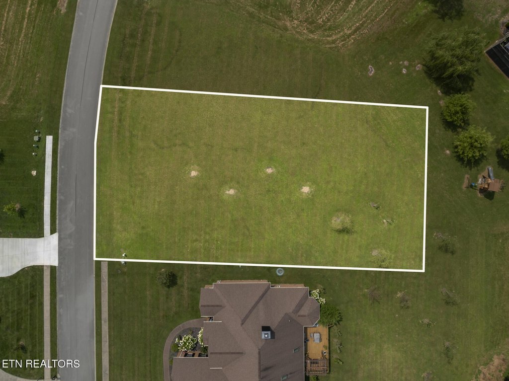 Picture 3