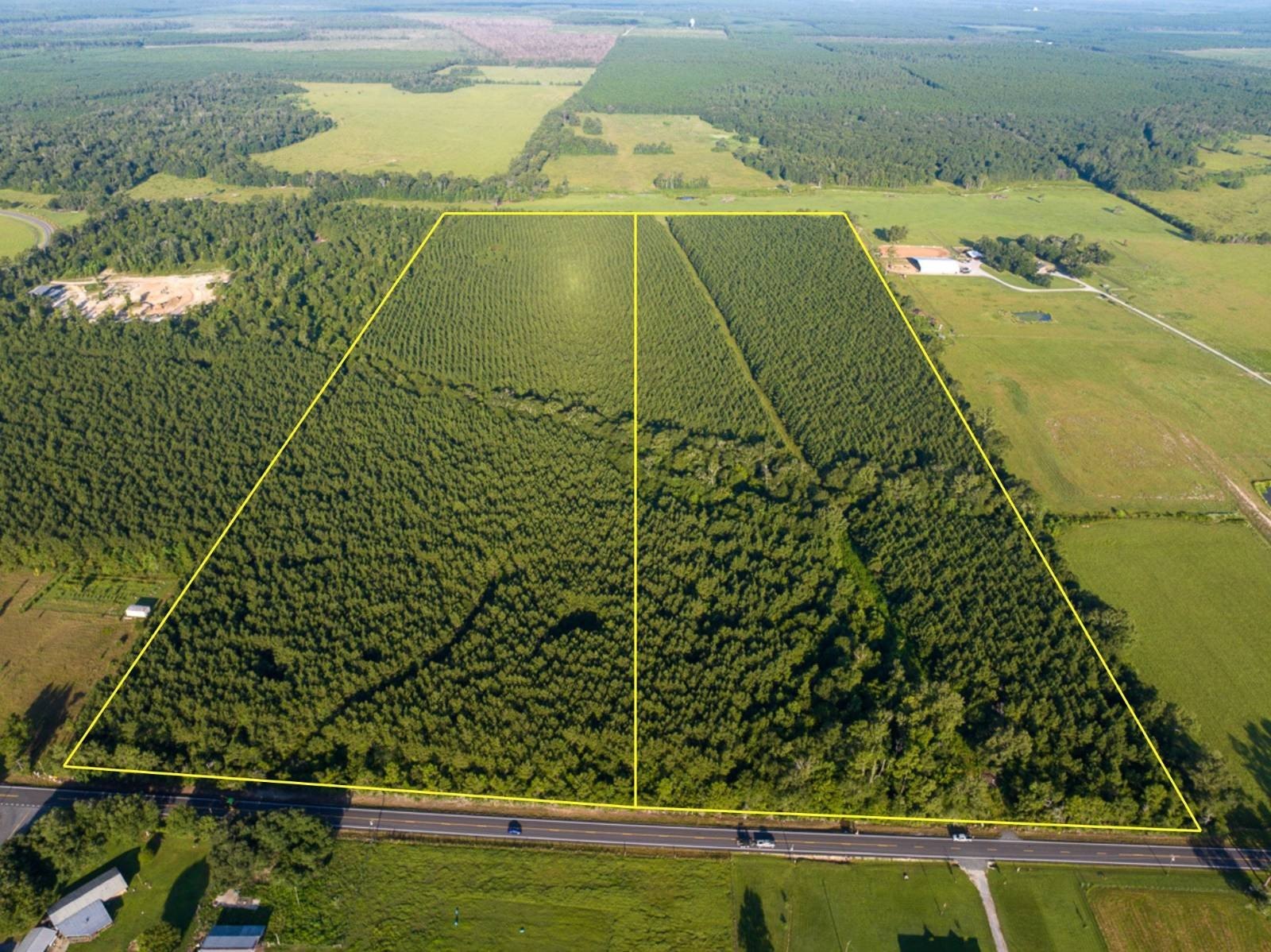 79 Acres Timberland in Dequincy