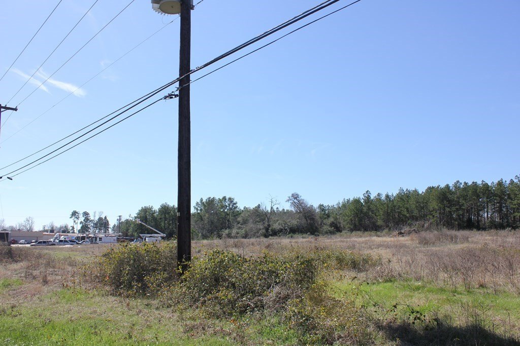 Picture 12