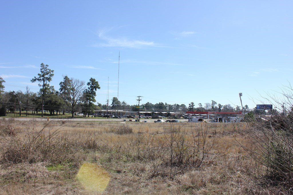 Picture 6
