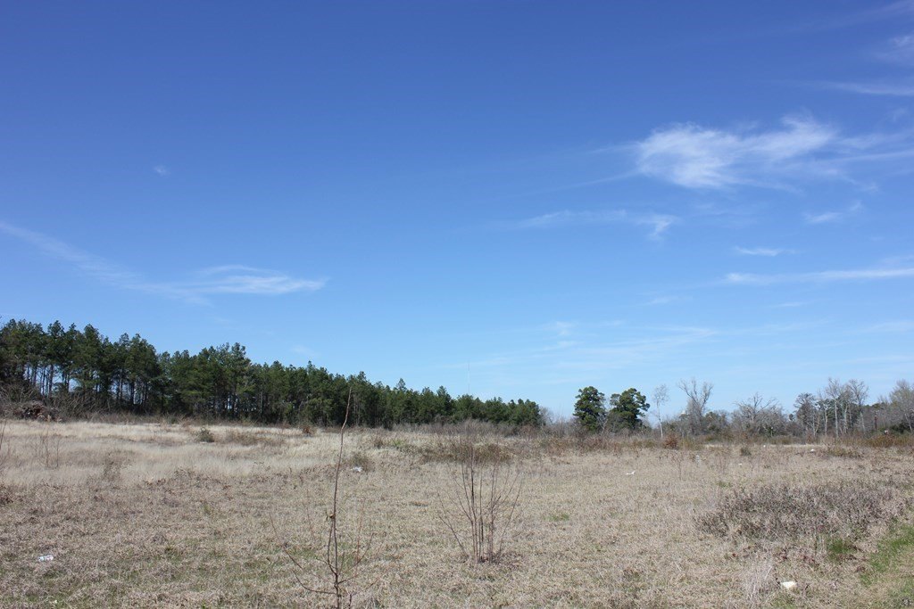 Picture 11