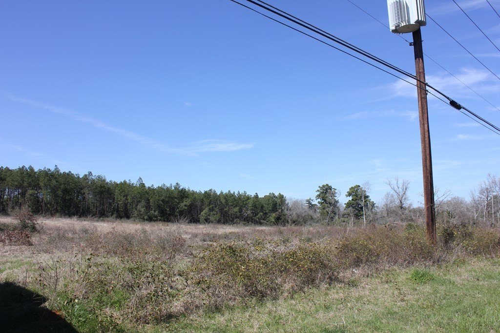 Picture 4