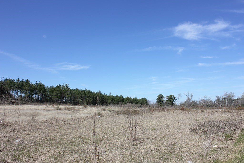 Picture 13