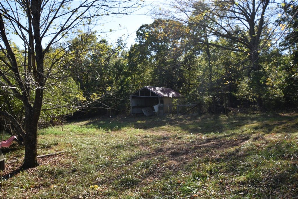 Picture 45
