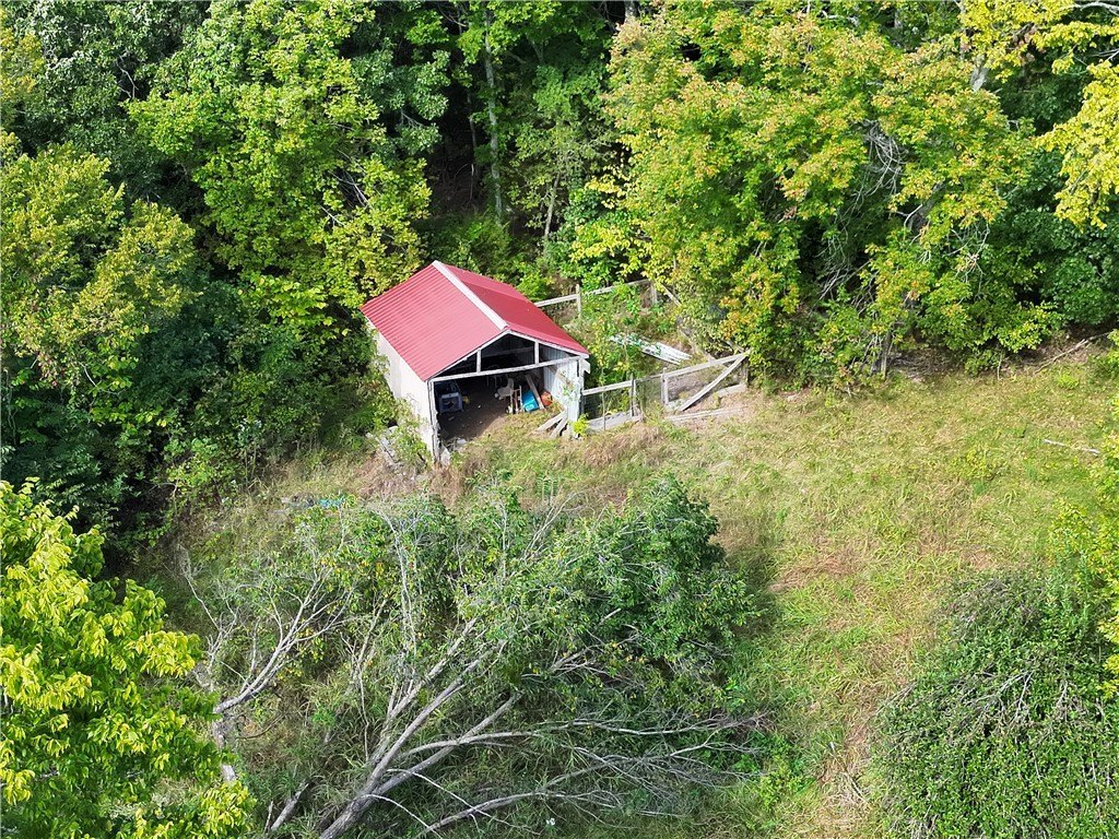 Picture 17