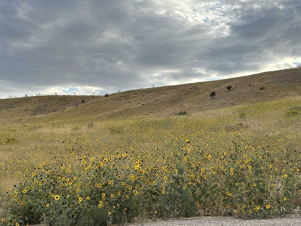 Picture 5