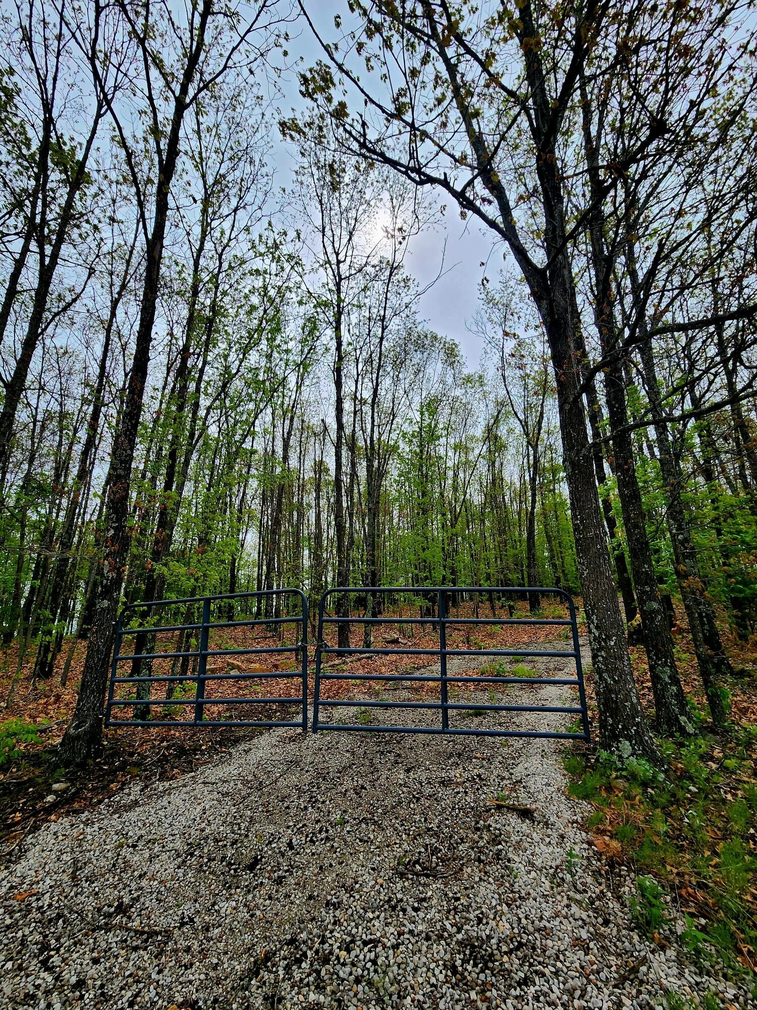 Ozark Land Near Ava, MO