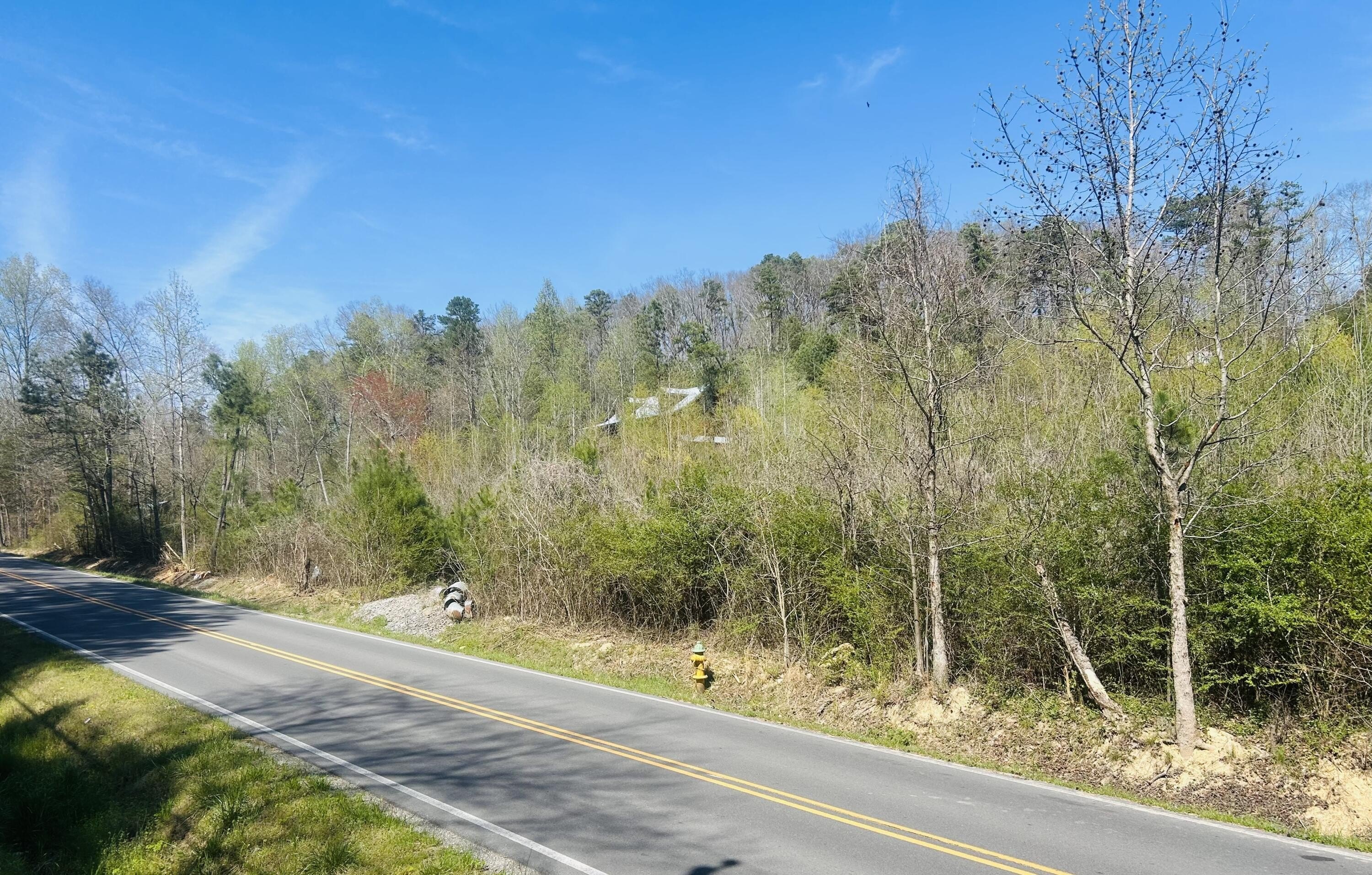 Residential Lot in Cohutta, GA