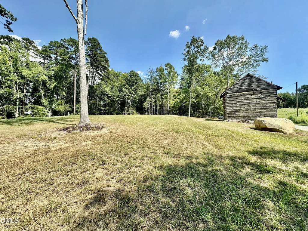 Picture 19