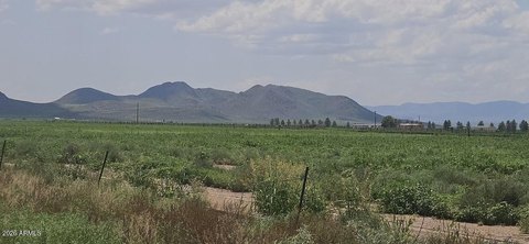 LAND - Willcox, AZ
