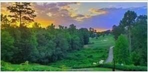 Alpharetta Land in Gated Community