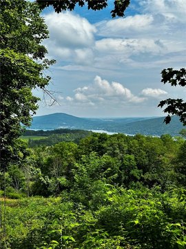 Land, Naples, NY