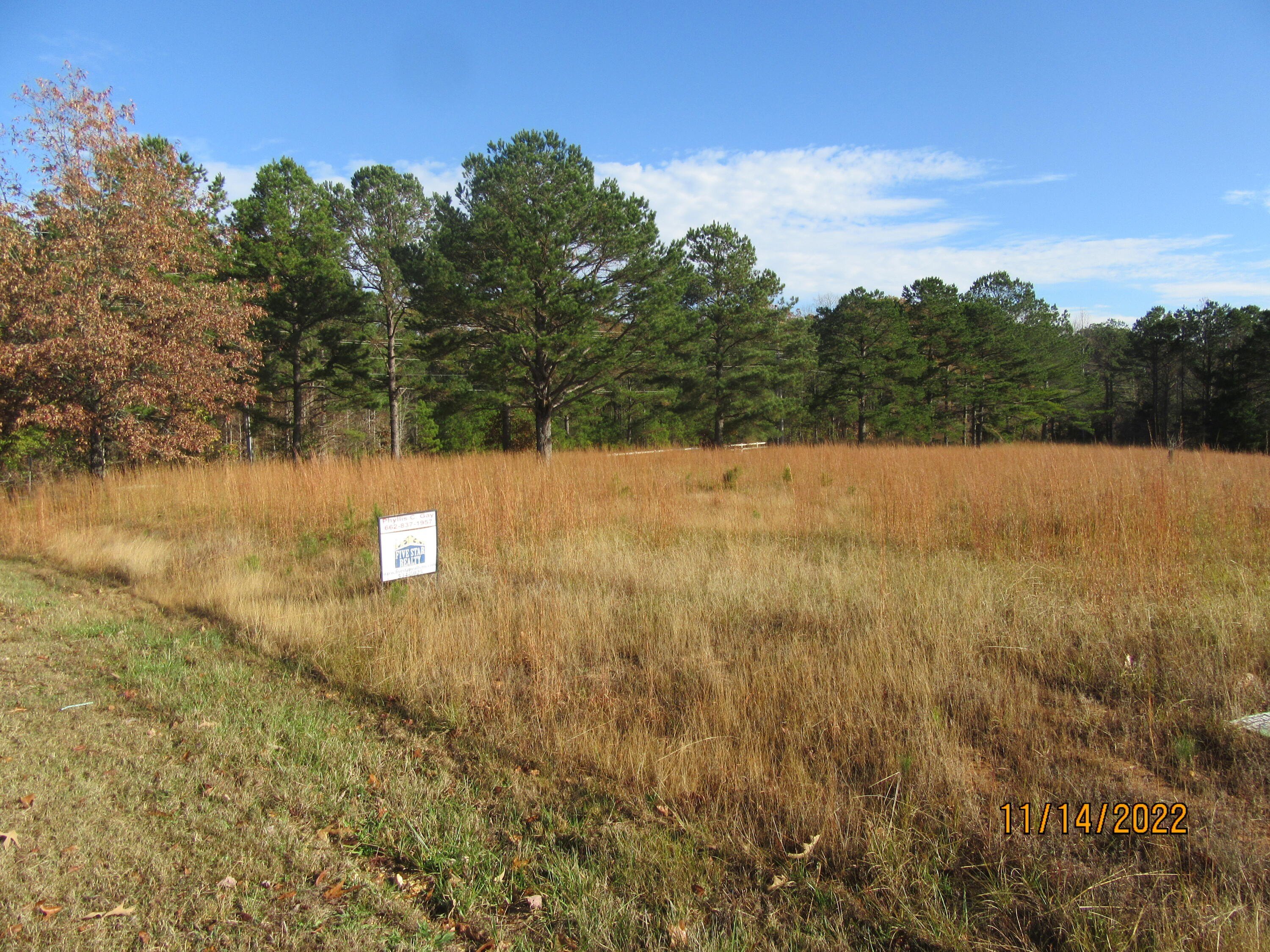 Residential Lot in Oakgrove Estates