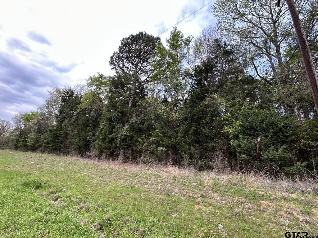 Picture 3