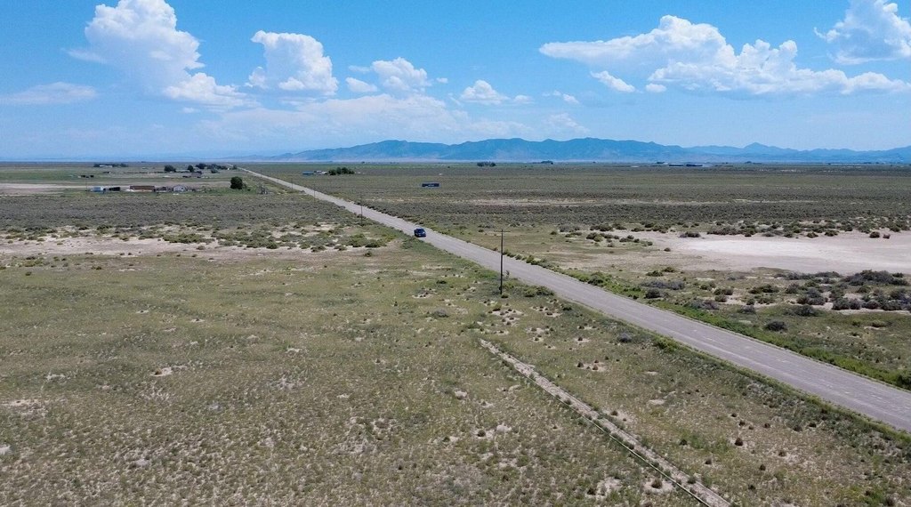 Picture 8