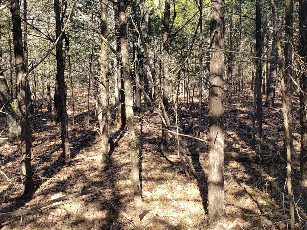 Picture 15