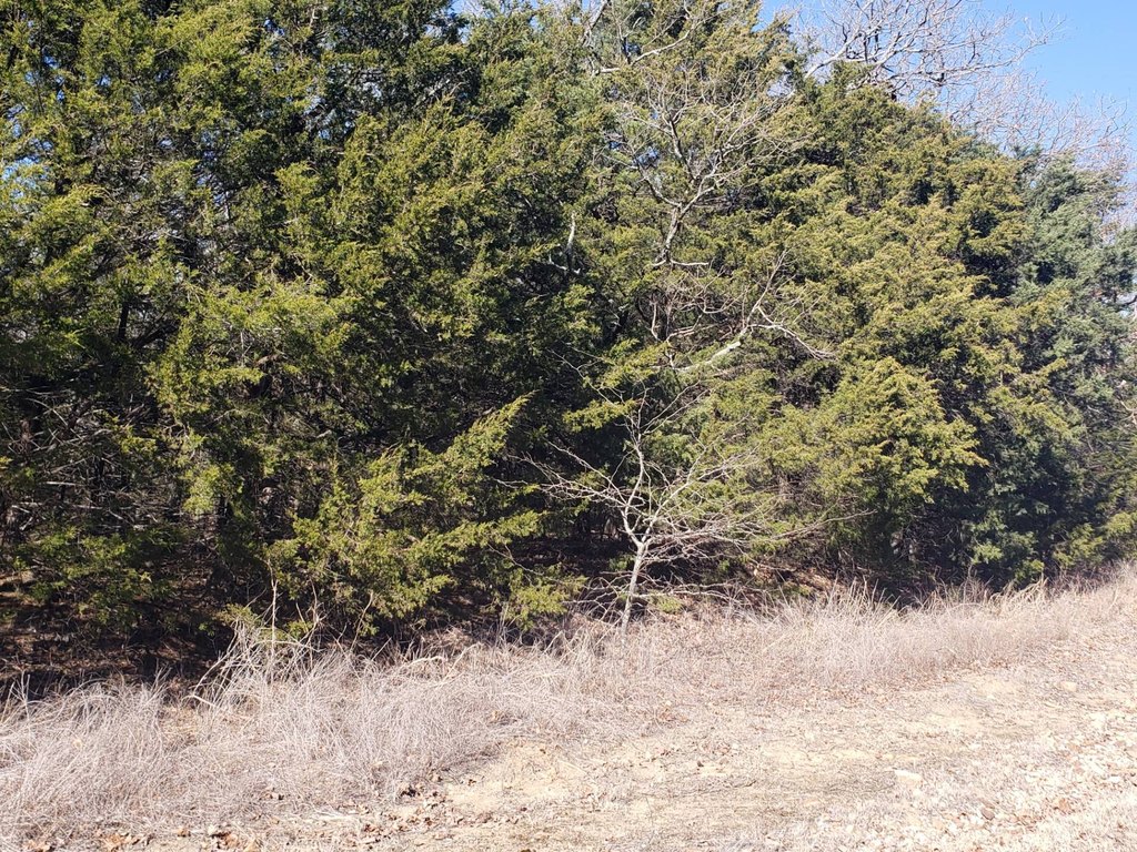Picture 10