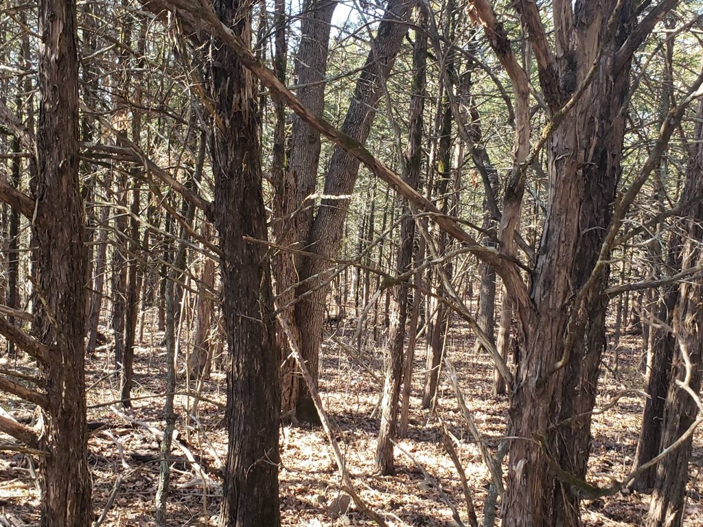 Picture 16