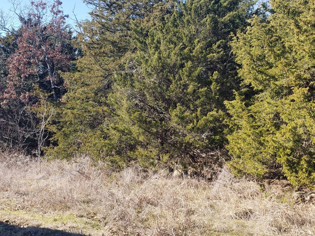Picture 2
