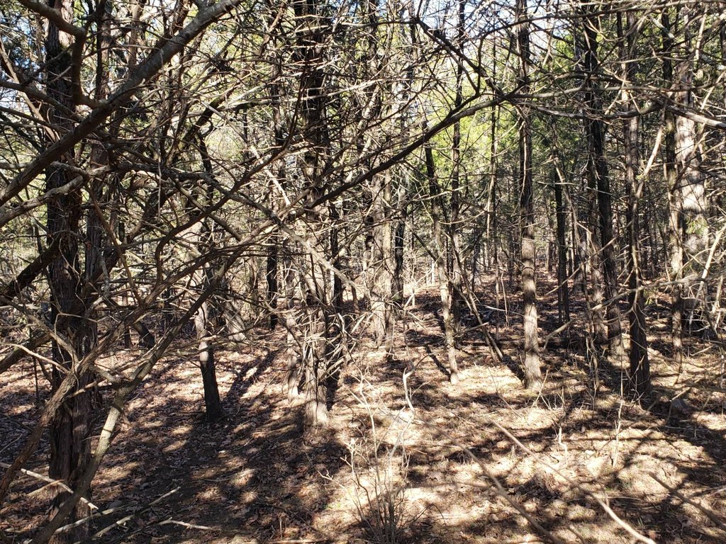 Picture 11