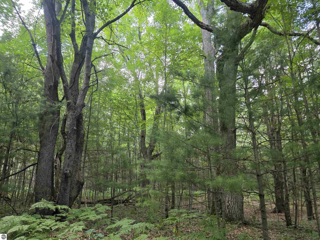 Picture 25