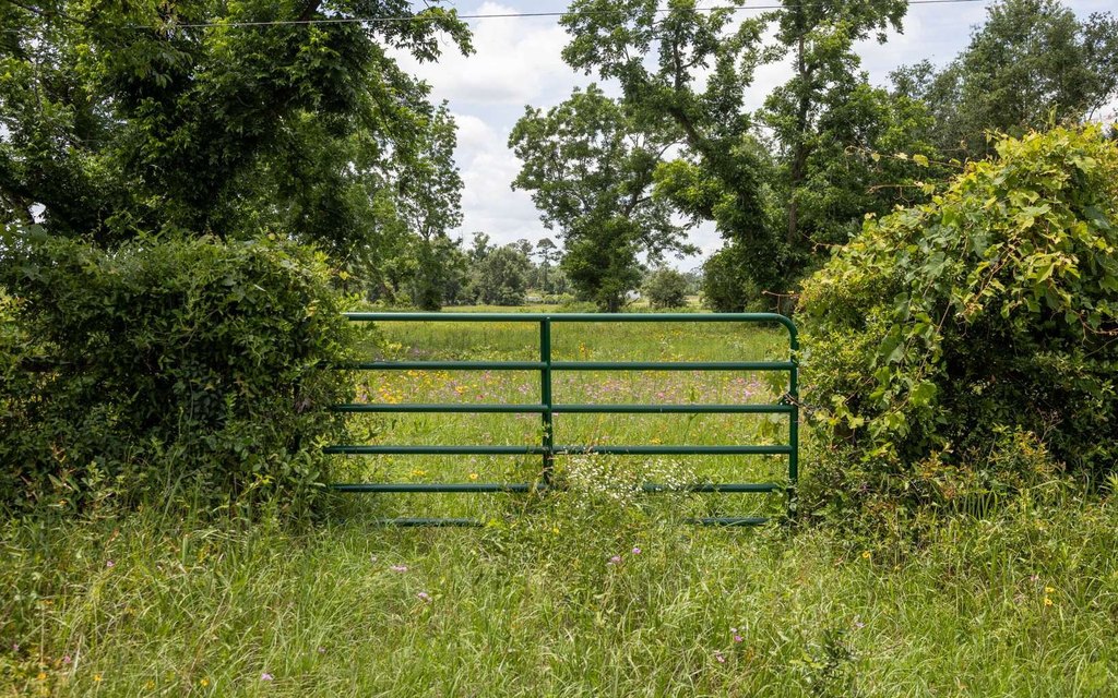 Picture 9