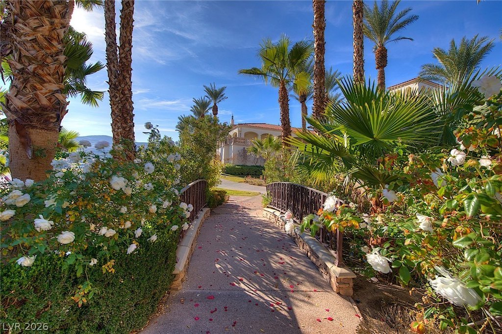 Picture 31