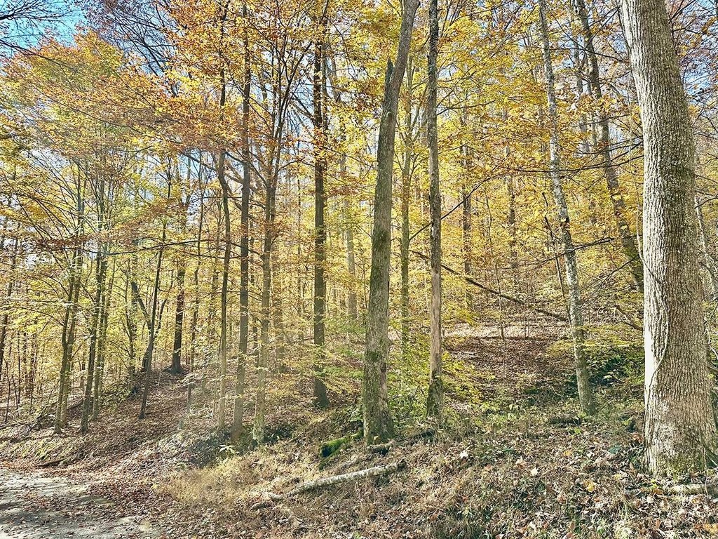 Picture 23