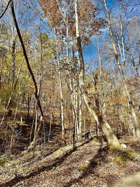 Picture 18
