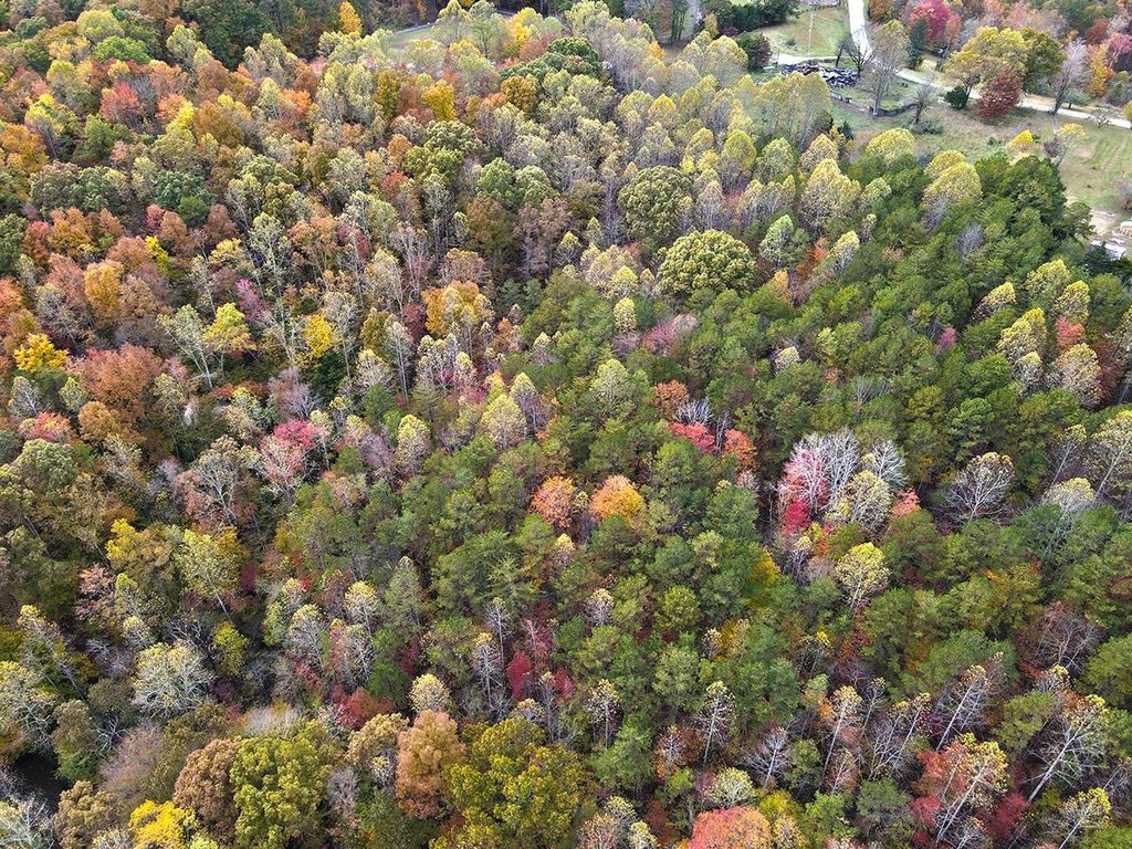 Picture 29