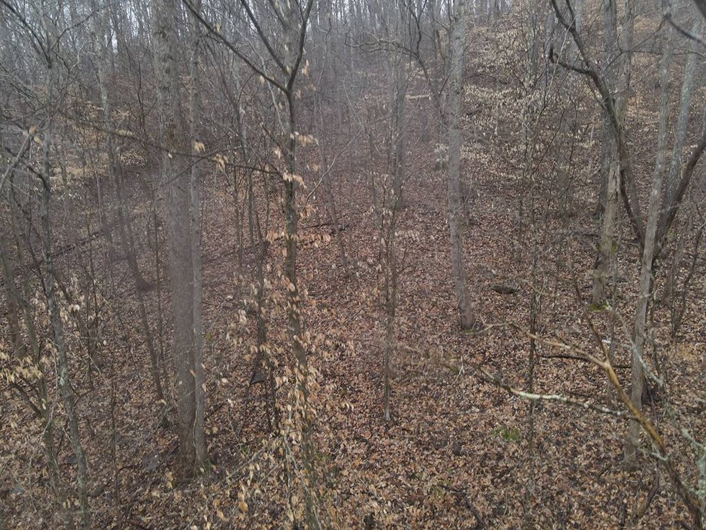 Picture 45