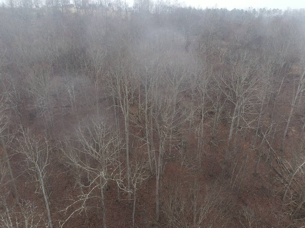 Picture 41