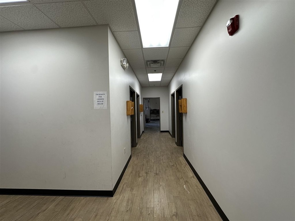 Picture 15