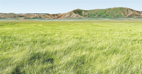 Land, Santa Margarita, CA