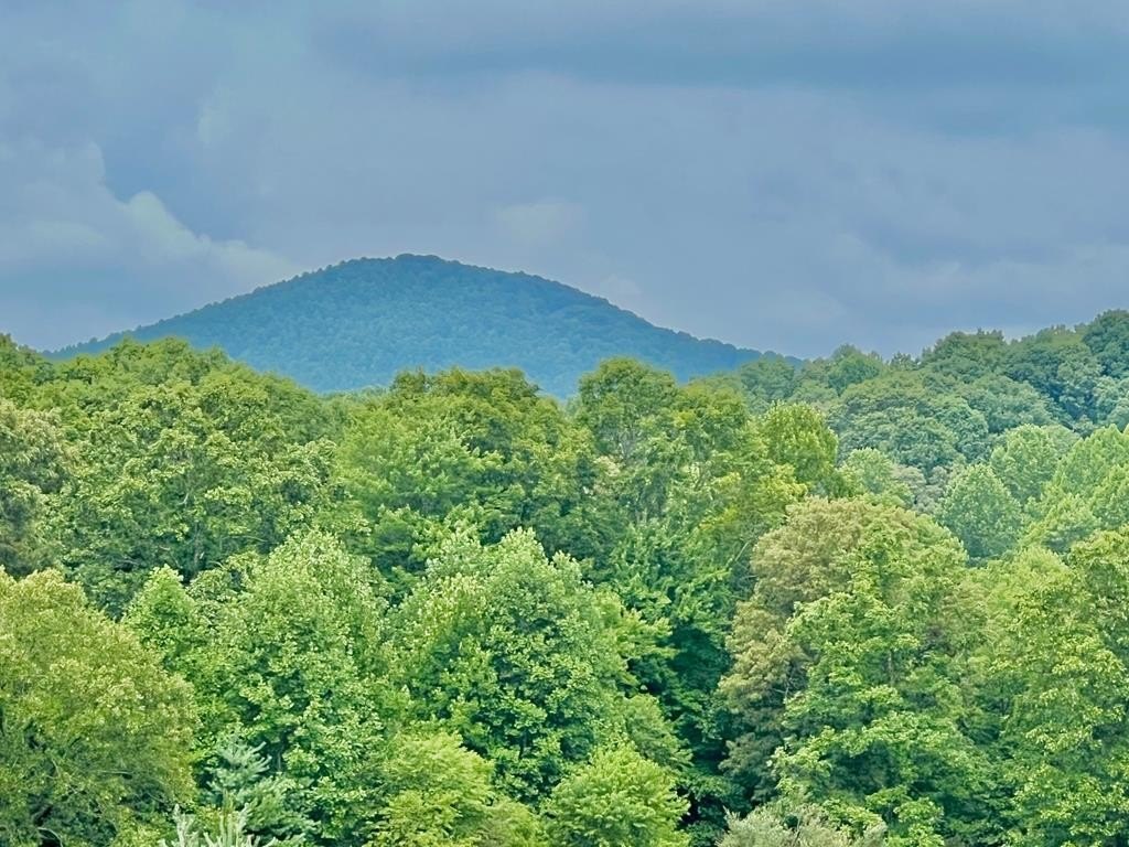 Riverside Lot in Gated Community