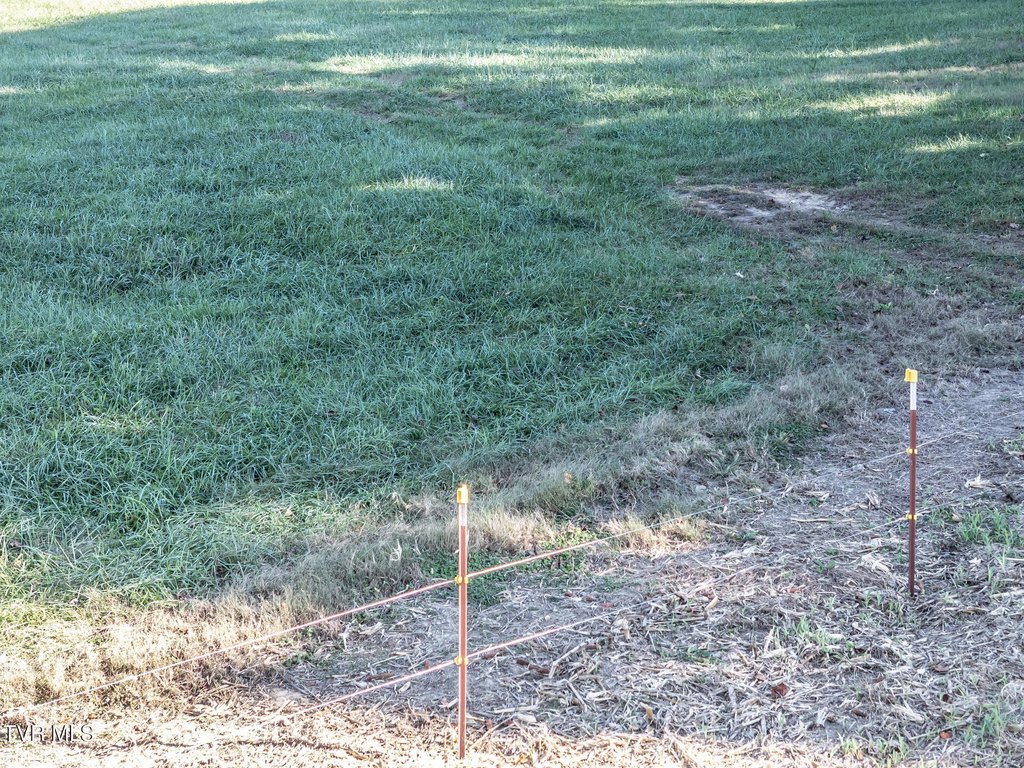 Picture 29