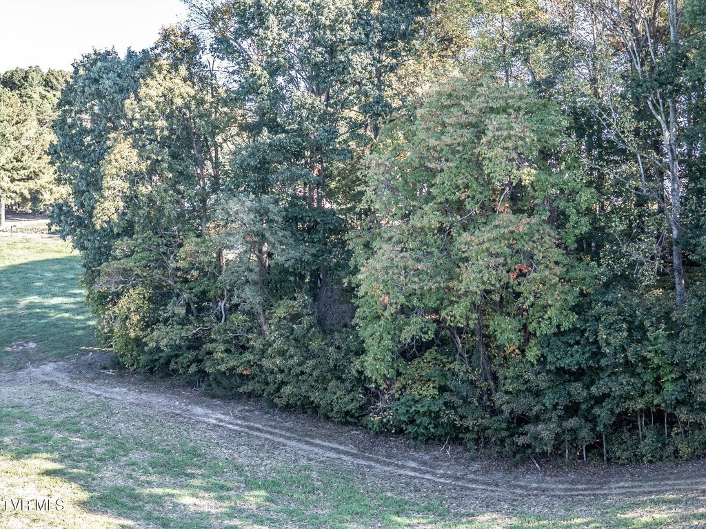 Picture 27