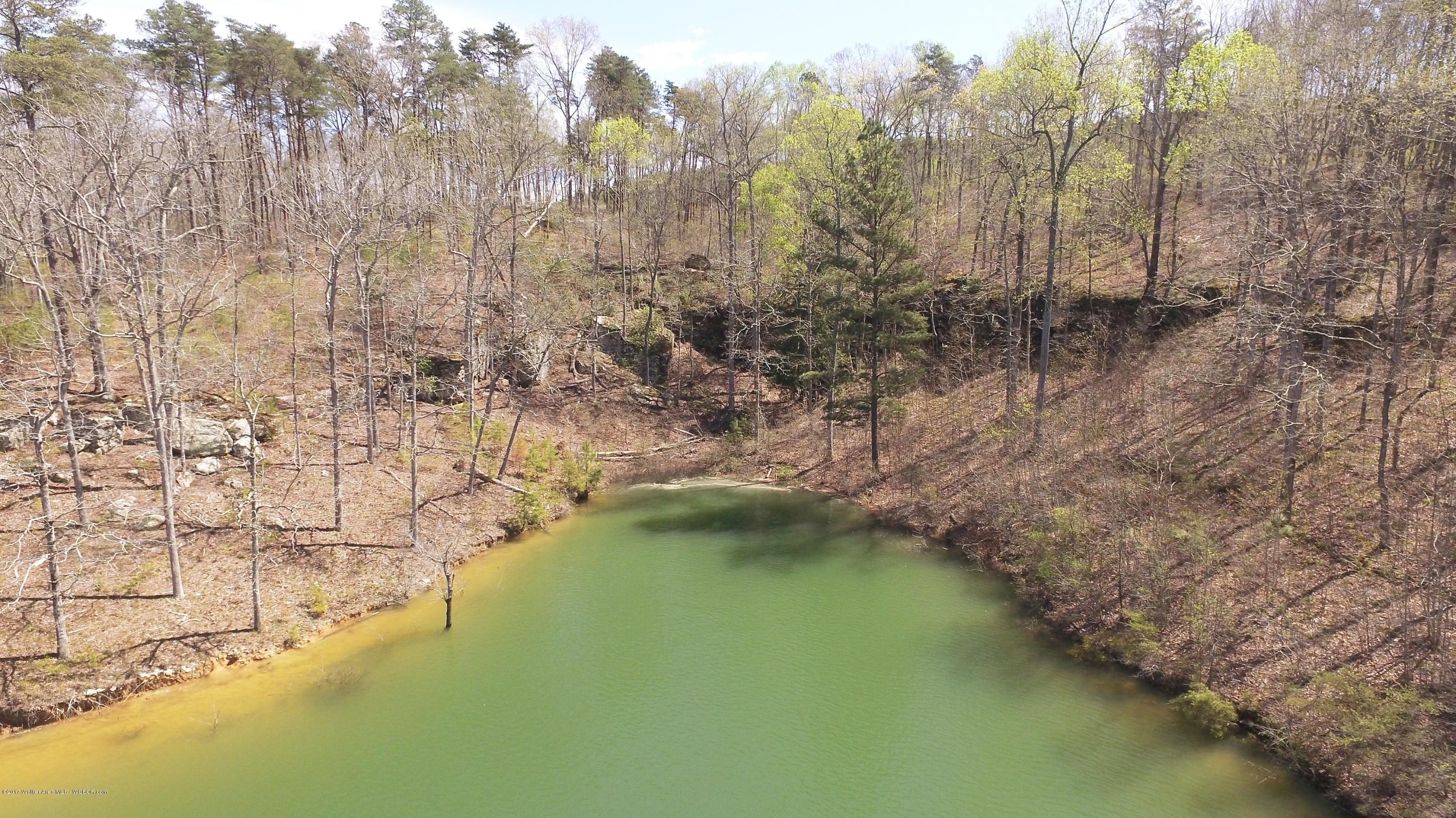 Land in Arley, Alabama