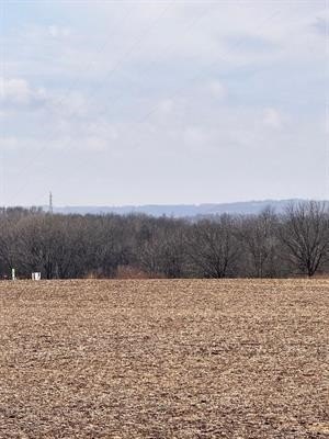 Picture 16