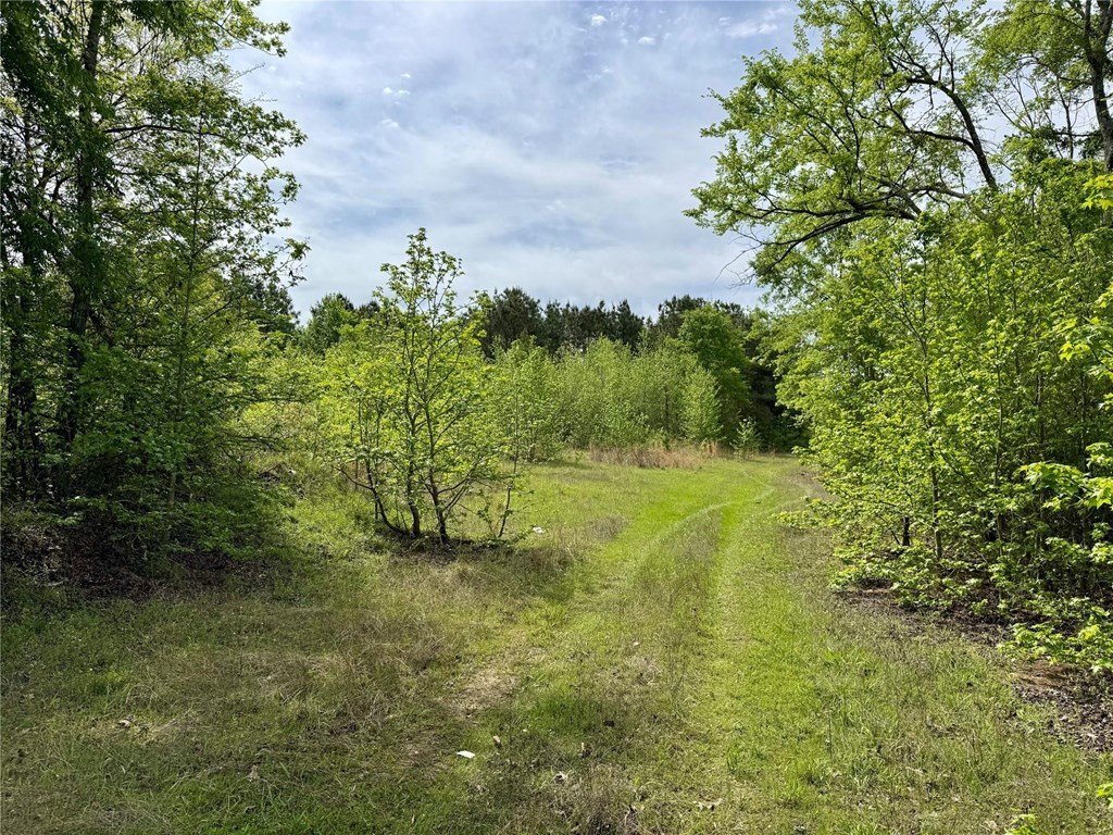 Picture 3