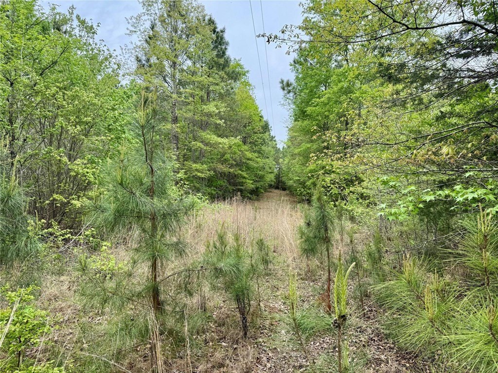 Picture 29