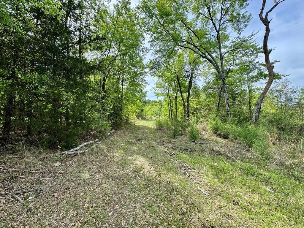 Picture 20