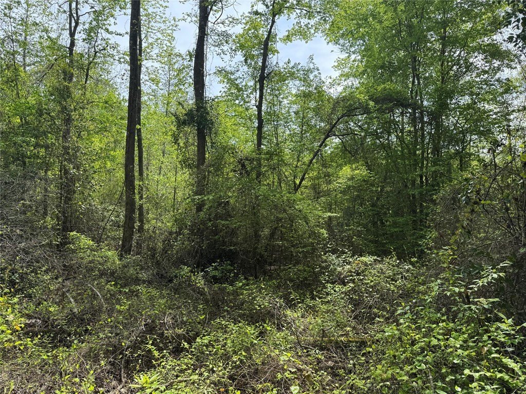 Picture 28