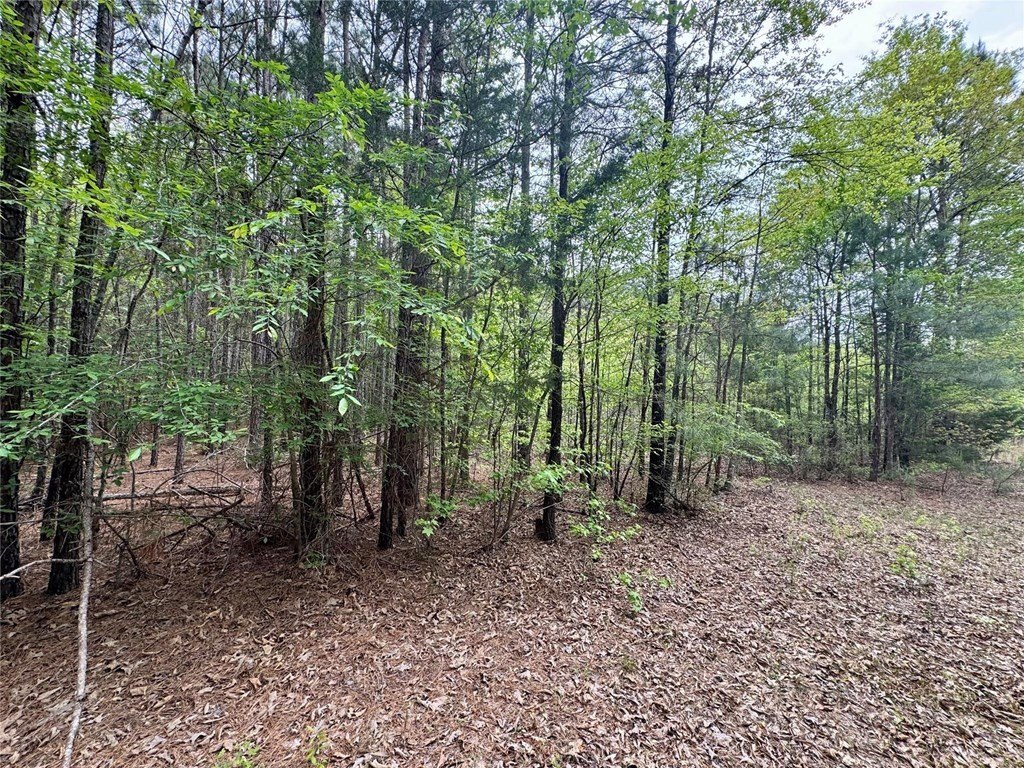 Picture 19