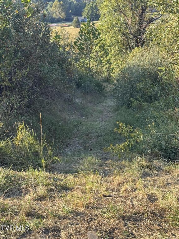 Picture 27