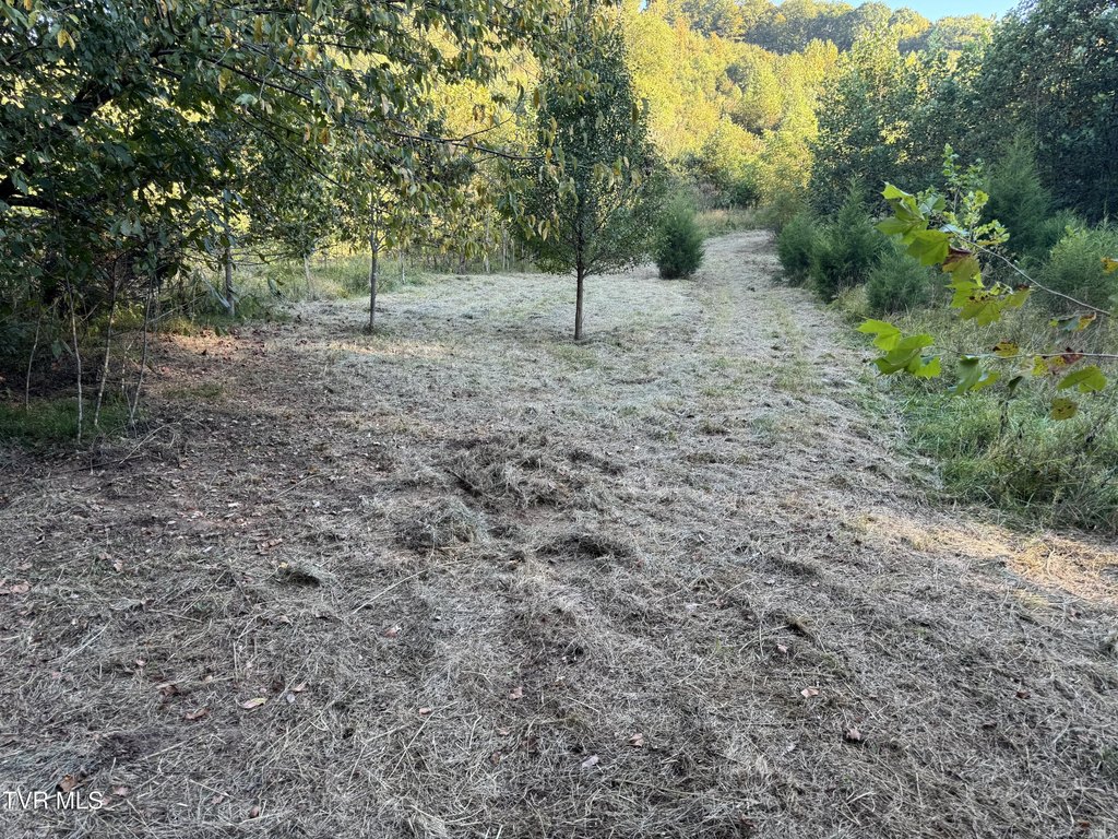 Picture 28