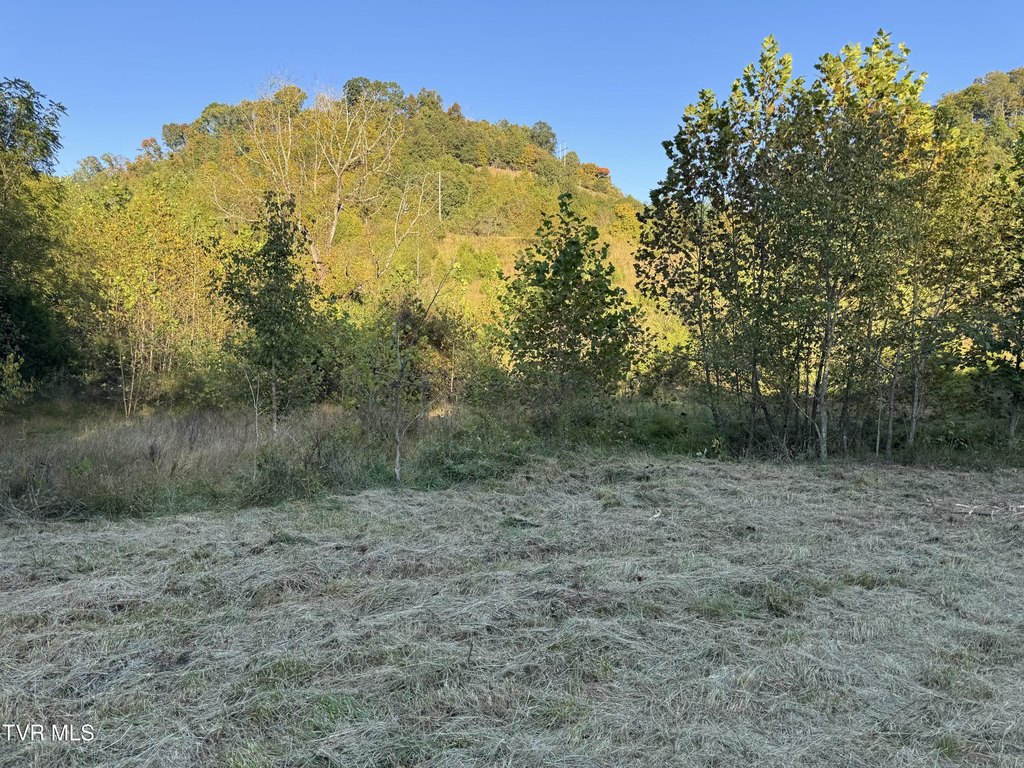Picture 30