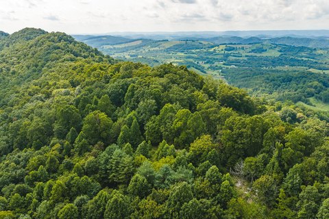 Unrestricted Wooded Land with On-Site Structures