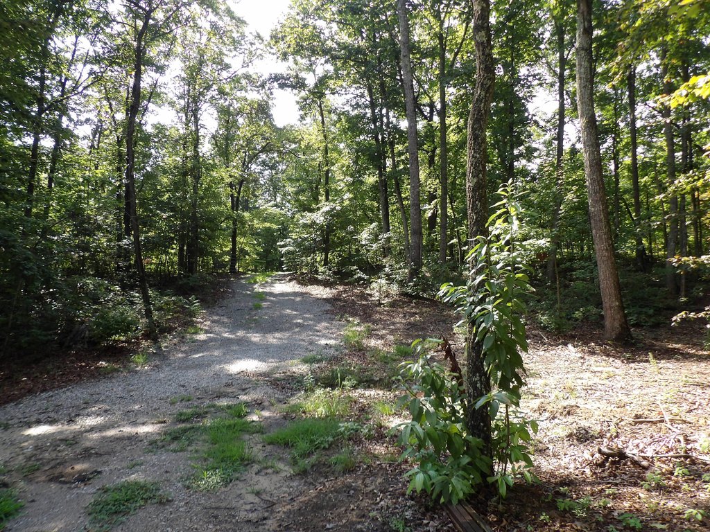 Picture 22
